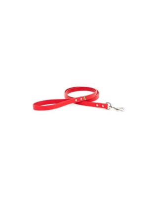 Red - Bee Mine Dog Leash