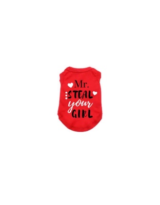 Red - Mr. Steal Your Girl - 2X Large
