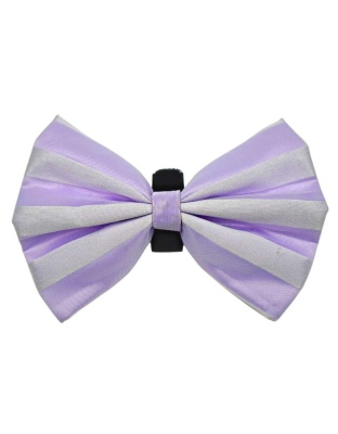 10 - PR3006|Pets Ribbons - 2"