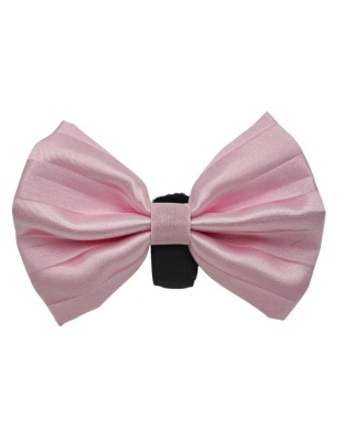 11 - PR3006|Pets Ribbons - 2"