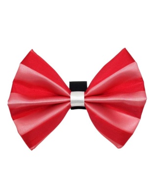 4 - PR3006|Pets Ribbons - 2"