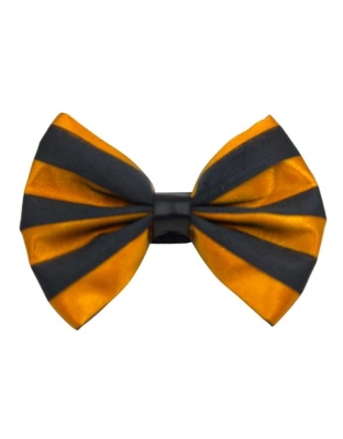6 - PR3006|Pets Ribbons - 2"