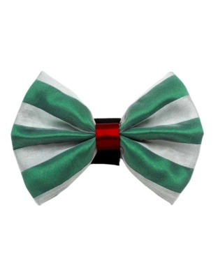 7 - PR3006|Pets Ribbons - 2"