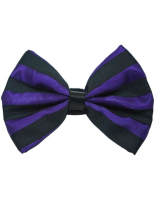 Purple - PR3006HS|Pets Ribbons - 4"