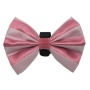 Pink/White - PR3006VA|Pets Ribbons - 5"