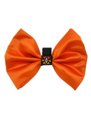 Orange - PR3007|Pets Ribbons - 6"