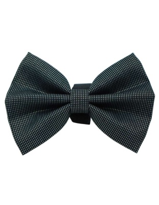 PR4006|Pets Ribbons - 2"