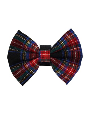 Blue - PR4013|Pets Ribbons - 2"