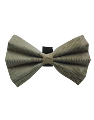 Beige - PR5001|Pets Ribbons - 5"