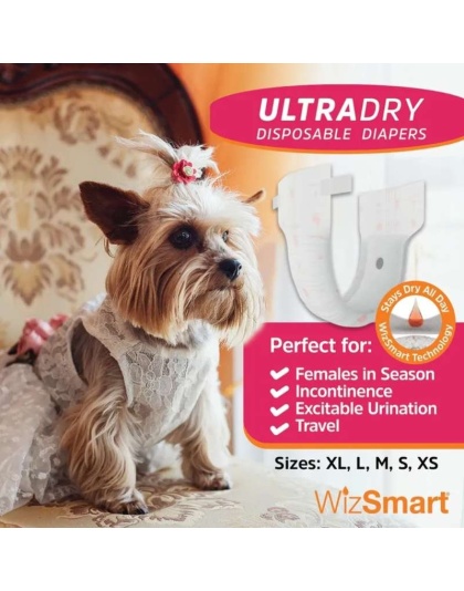 White - WizSmart UltraDry Disposable Diapers  - Large