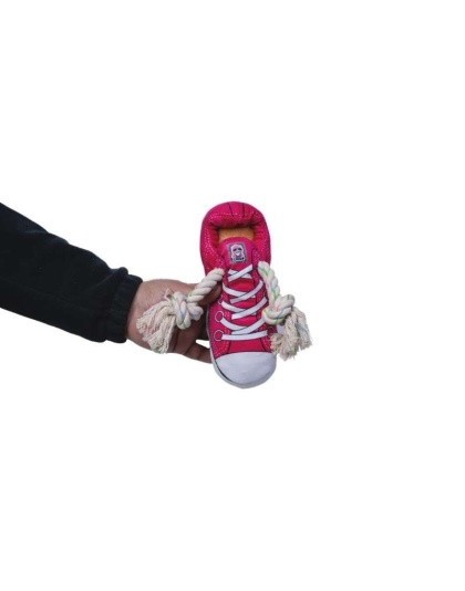 Squeaking Comfort Plush Sneaker Dog Toy - Pink
