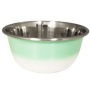 RE Mint - DUROBOLZ Ombre Deep Bowl with Rubber Bottom - 16 oz