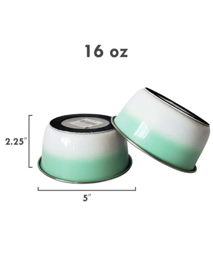 RE Mint - DUROBOLZ Ombre Deep Bowl with Rubber Bottom - 16 oz