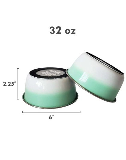 RE Mint - DUROBOLZ Ombre Deep Bowl with Rubber Bottom - 16 oz