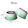 RE Mint - DUROBOLZ Ombre Deep Bowl with Rubber Bottom - 16 oz