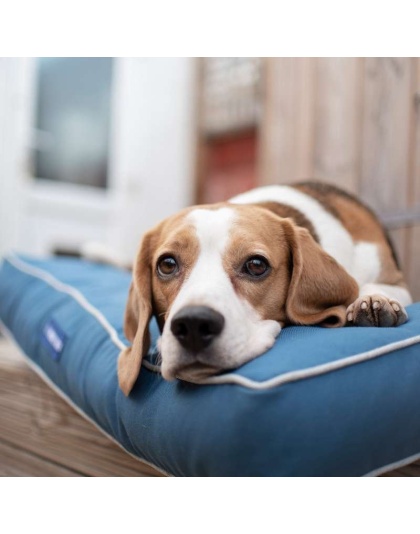 Marlin Eco-Fabric Mattress Dog Bed - Medium