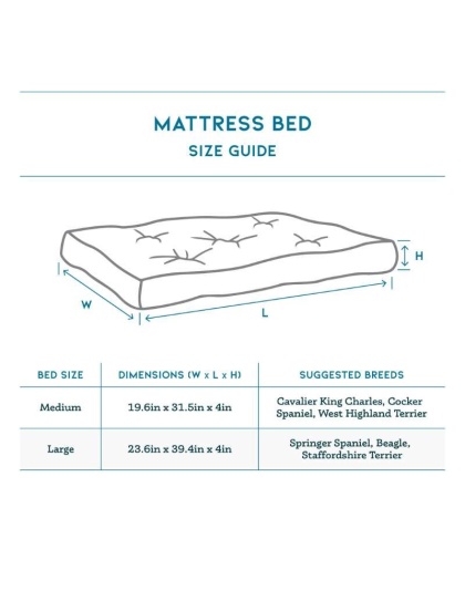 Daytona Eco-Fabric Mattress Dog Bed - Large