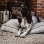 Bondi Eco-Fabric Mattress Dog Bed - Large