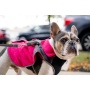 Fuschia - 2-in-1 Travel Dog Vest With Built In Harness - Small