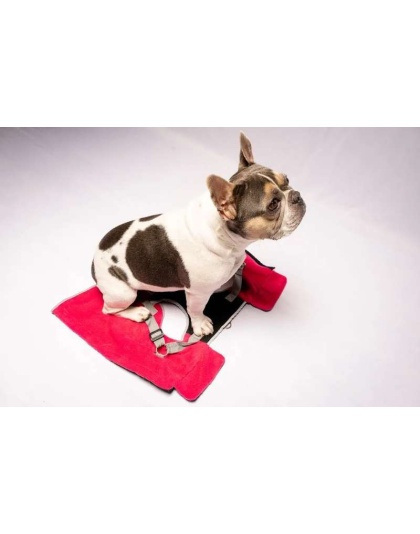 Fuschia - 2-in-1 Travel Dog Vest With Built In Harness - Small