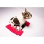 Fuschia - 2-in-1 Travel Dog Vest With Built In Harness - Small