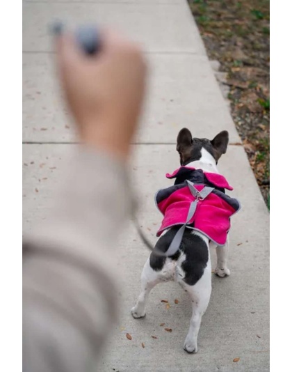 Fuschia - 2-in-1 Travel Dog Vest With Built In Harness - Small