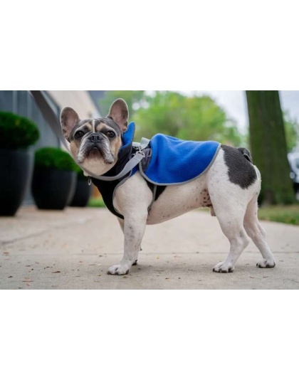Royal Blue - 2-in-1 Travel Dog Vest With Built In Harness - Small