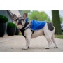 Royal Blue - 2-in-1 Travel Dog Vest With Built In Harness - Small