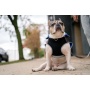 Royal Blue - 2-in-1 Travel Dog Vest With Built In Harness - Medium