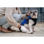 Royal Blue - 2-in-1 Travel Dog Vest With Built In Harness - Small