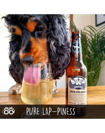 Bottom Sniffer Beer For Dogs