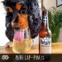 Bottom Sniffer Beer For Dogs