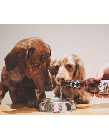 Bottom Sniffer Beer For Dogs