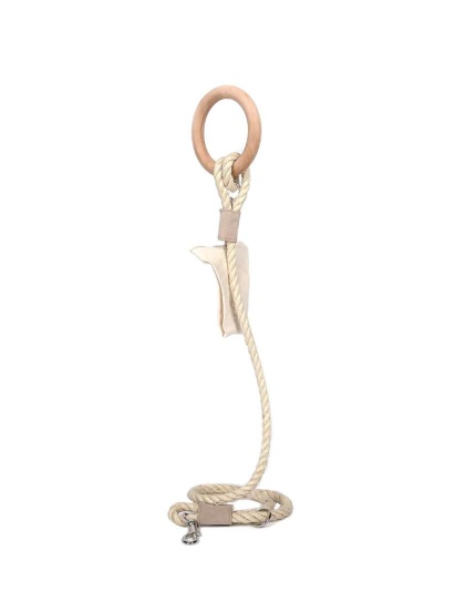 Carbon Neutral Eco Friendly Dog Leash with Small Storage Bag