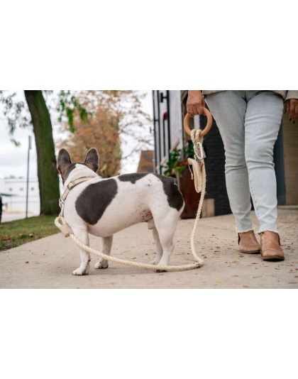 Carbon Neutral Eco Friendly Dog Leash with Small Storage Bag