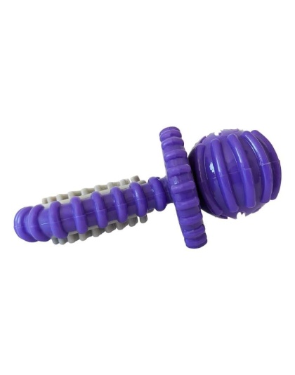 Dental Pacifier Dog Chew Toy