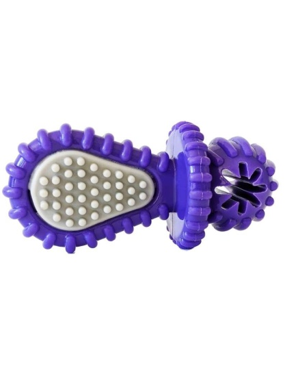 Dental Pacifier Dog Chew Toy