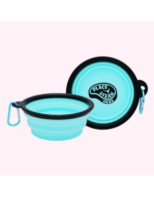 "Place Steak Here" Aqua Dog Bowl