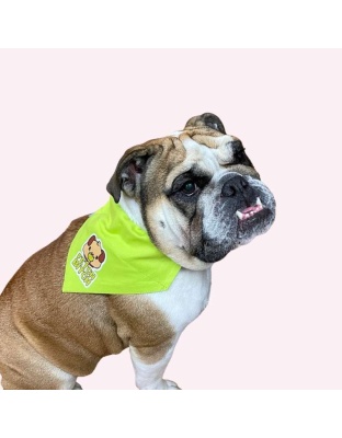"Fetch Bitch" Lime Green Collar Bandana - Large