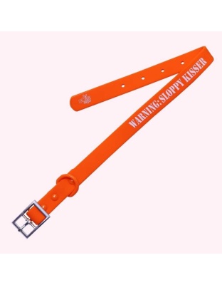 "Warning: Sloppy Kisser" Orange Silicone Collar - Medium