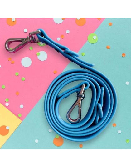 "Pet Me or I'll Bite You" Blue Leash