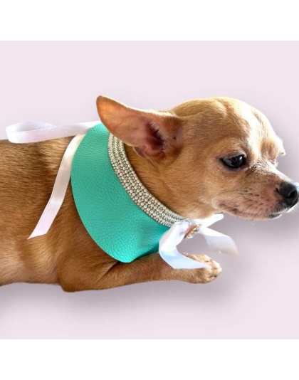 Sniffany Blue Neck Collar- Dog Neck Collar