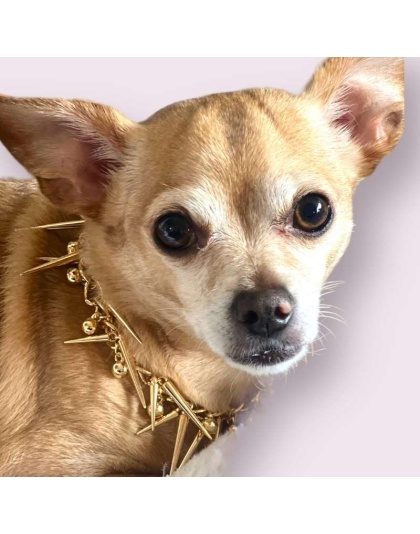 Spikey Stud Chain- Dog Necklace - Small