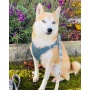 Denim & Beige Plaid - Step-In Denim Harness - Small