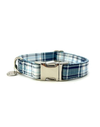 Blue Plaid - Adjustable Collar - Medium