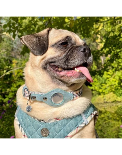 Beige Plaid & Denim - Apple Airtag Collar - Small