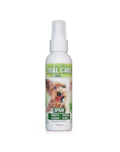 Oral Care Peppermint Spray - 4 oz