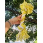 M:2-Knot Sustainable Dog Chew Rope Toys, Heavy Duty Dog Toys