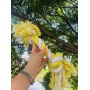 M:2-Knot Sustainable Dog Chew Rope Toys, Heavy Duty Dog Toys