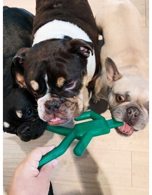 Dog Chew Toy - Stop & Go (24 PCS)